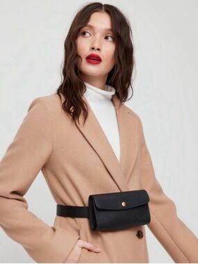 💫ARITZIA💫 Auxiliary Leather Belt Bag